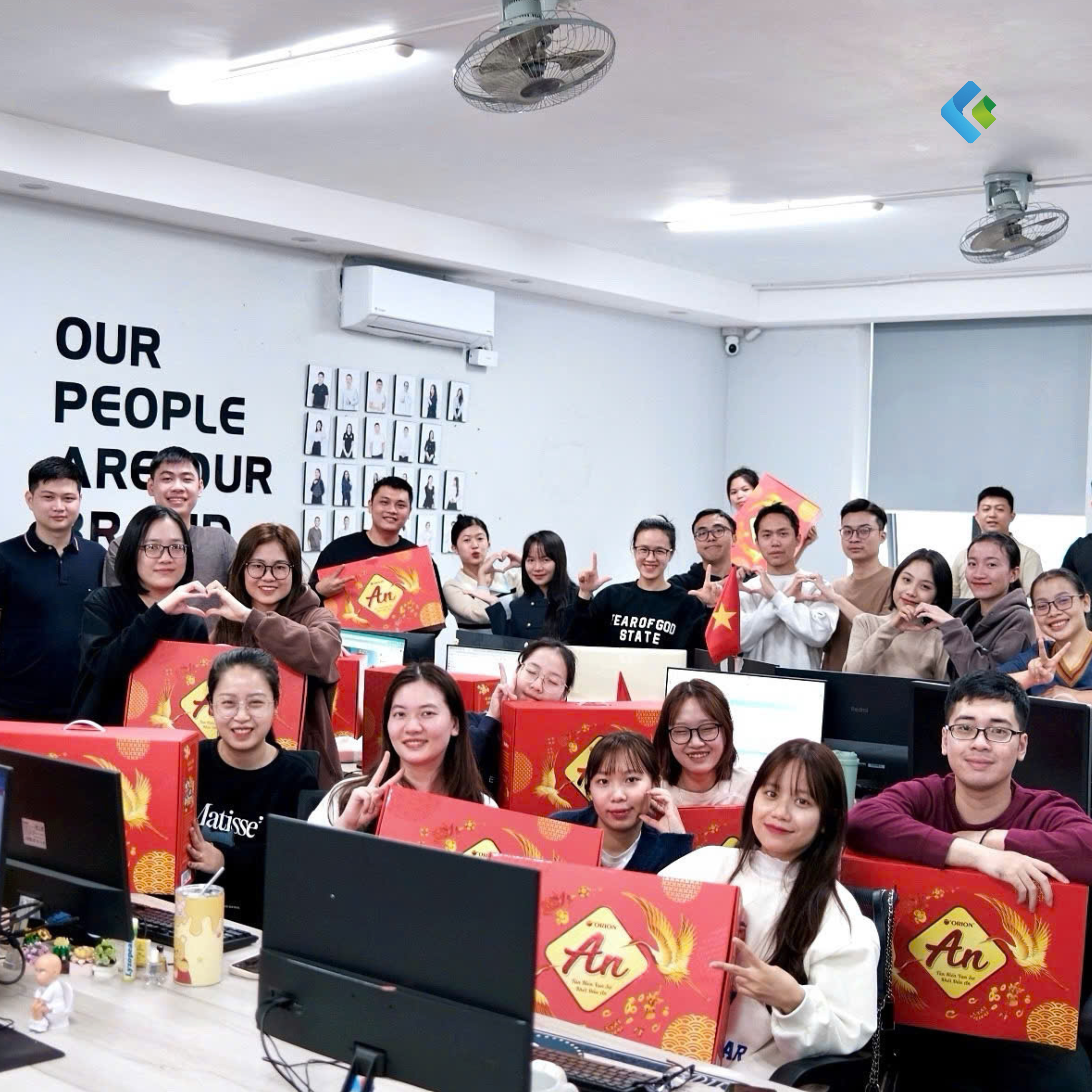 lĩnh vực hoạt động